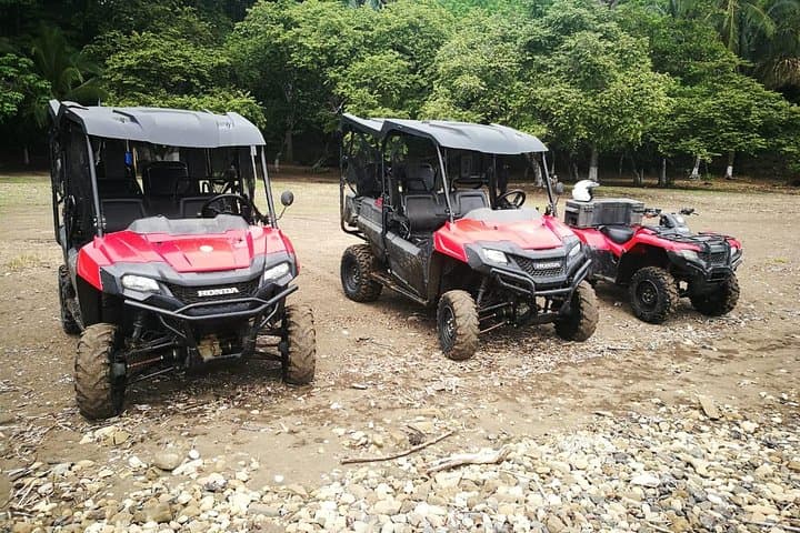 Private Jungle & River Buggy Exploration from San José — Los Sueños Adventure photo 5