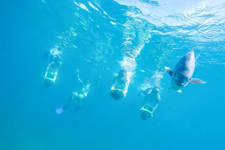 Los Cabos Power Snorkel: Kayak, SUP & Sea Scooters at Chileno and Santa Maria