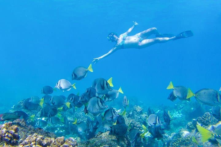 Los Cabos Power Snorkel: Kayak, SUP & Sea Scooters at Chileno and Santa Maria photo 5