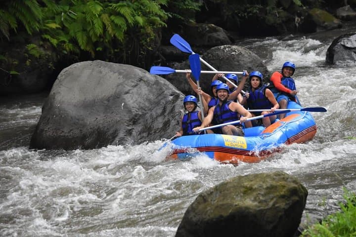 Ayung River Rafting in Bali: Half-Day Rafting with Lunch and Hotel Pickup