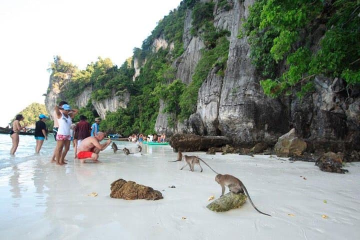 Phi Phi Islands Sunset Longtail Tour — Maya Bay, Pileh Lagoon & Night Plankton photo 5