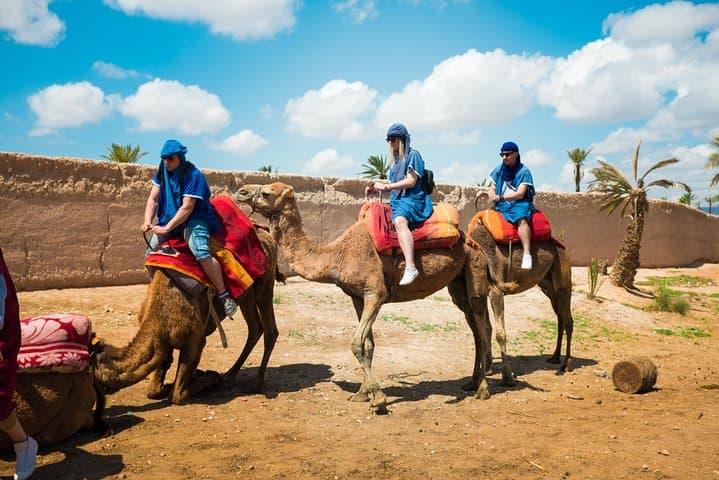 Camel Ride and Quad Biking in Marrakech’s Palmeraie — Day Tour with Berber Tea photo 3