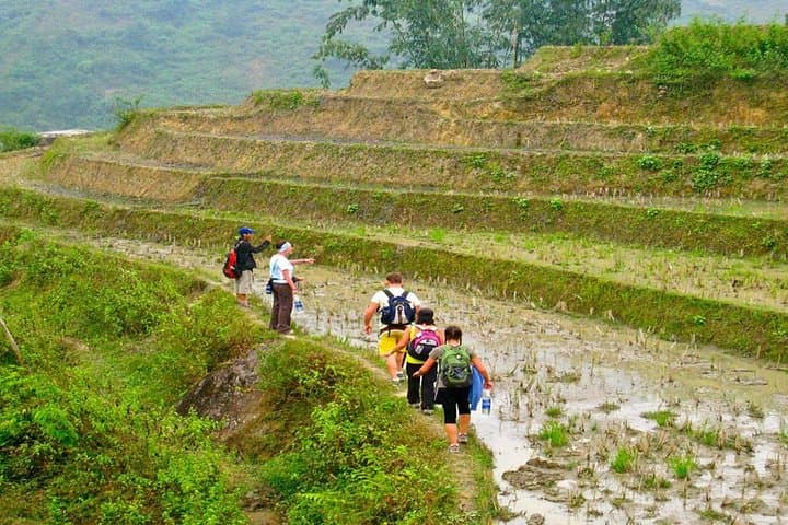 Full-Day Sapa Trek: Y Linh Ho, Lao Chai & Ta Van Village Trek photo 3