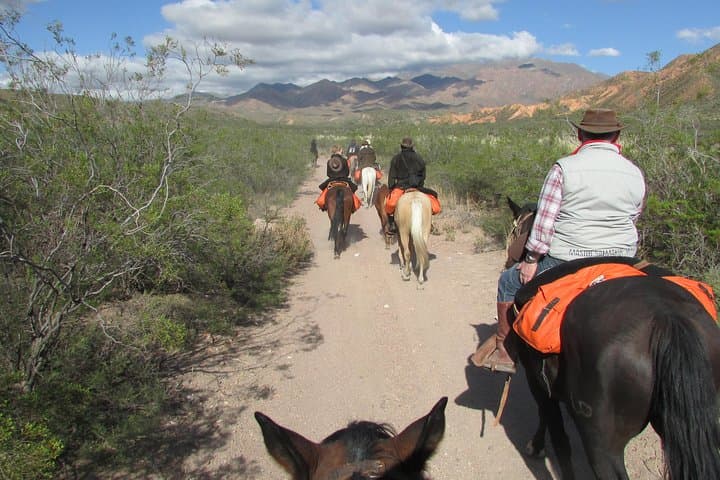 Full-Day Horseback Ride at the Foot of the Andes — Mendoza Gaucho Experience photo 4