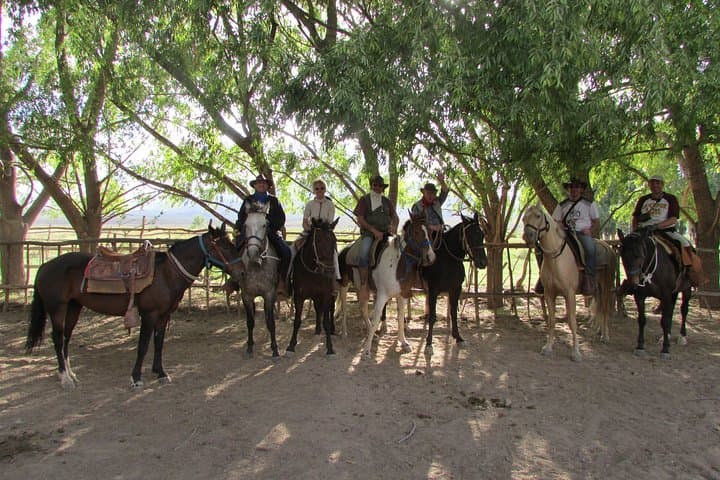 Full-Day Horseback Ride at the Foot of the Andes — Mendoza Gaucho Experience photo 5