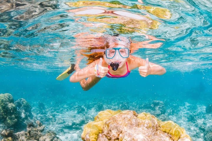 Swim with Whale Sharks at Ningaloo Reef: Exmouth Day-Trip Guide photo 3