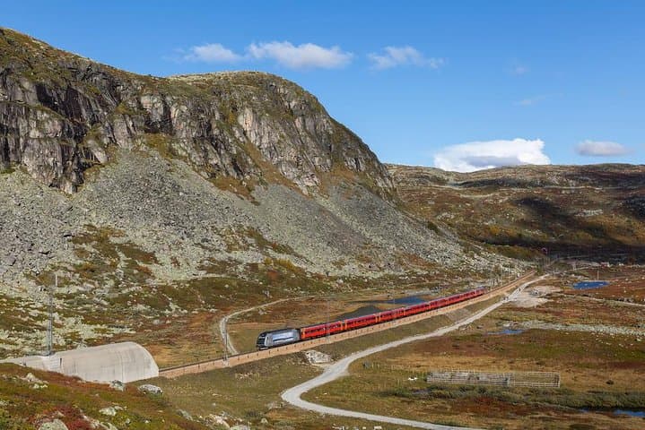 Norway in a Nutshell: Oslo–Sognefjord Round Trip via Flåm Railway photo 3