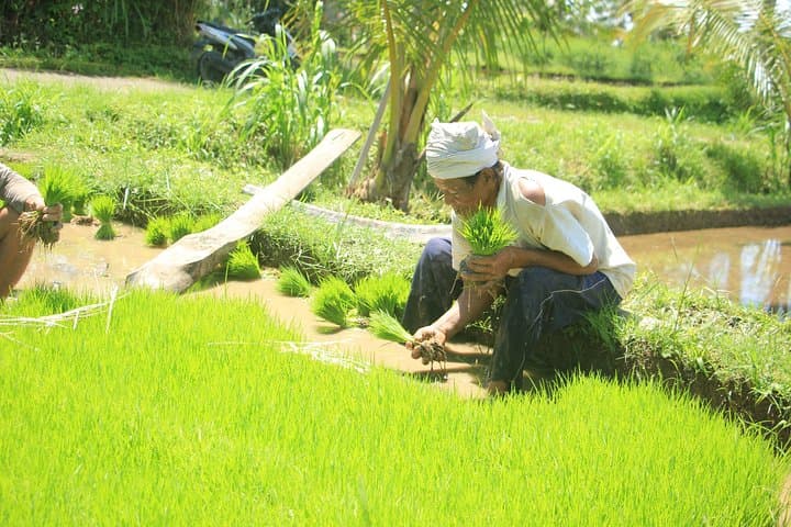 Drive Bali's Countryside: Quad and Buggy Discovery Tour with Transfers photo 4