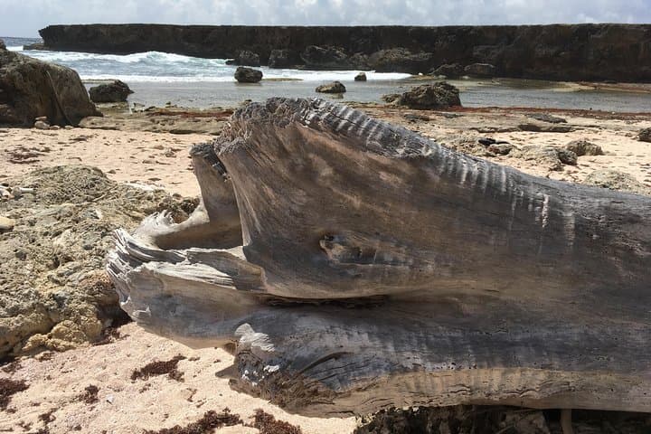 Jeep Safari Snorkel & Beach Adventure in Curaçao: Shete Boca to Cas Abao photo 3