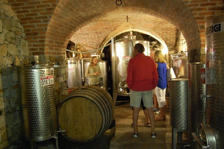 Wine and Wind on Lake Como: Winery Tour and Private Regatta photo 3