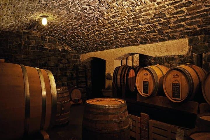 Wine and Wind on Lake Como: Winery Tour and Private Regatta photo 6