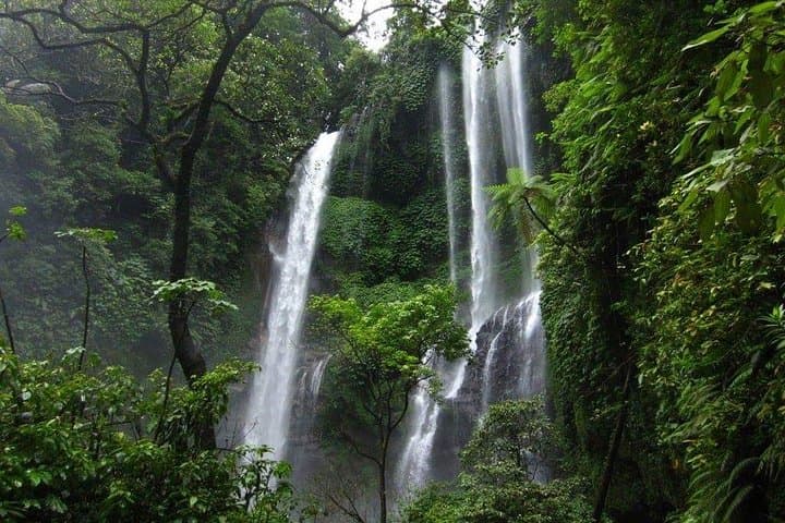Lovina Sunrise Dolphin Watching and Twin Banyumala Waterfall Day Trip — North Bali Adventure photo 2
