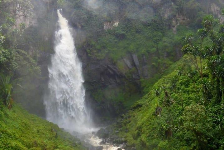 4-Day Kahuzi-Biega Lowland Gorilla Trek & Tshibati Waterfall Experience photo 6