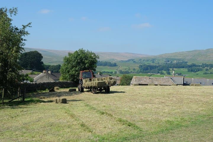 Private Yorkshire Dales Tour from Windermere — Ribblehead, Aysgarth & Wensleydale photo 3