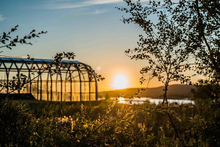 Midnight Sun Photography Tour in Rovaniemi: Capture Lapland's Endless Light photo 4