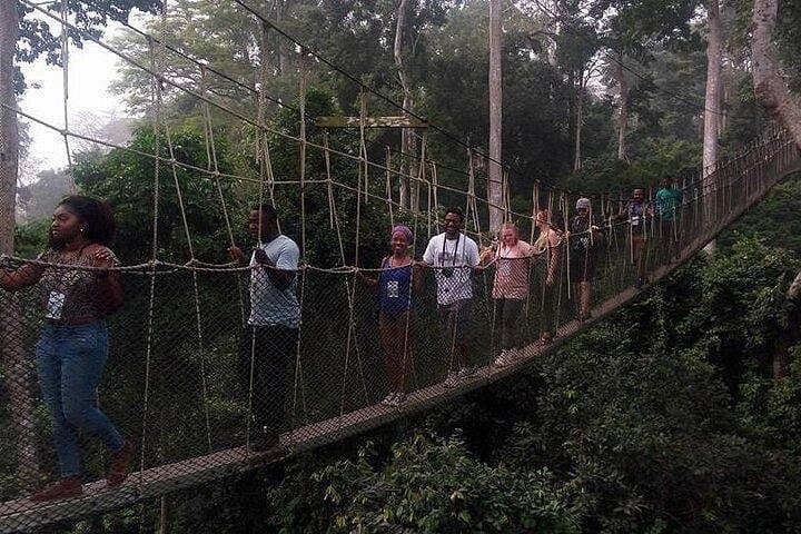 Bonsu Arboretum Canopy Walk, Cocoa Research & Aburi Gardens — Day Tour from Accra