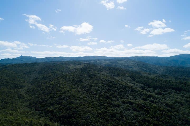 Black River Gorges Hike: Native Forest, Bats Valley & West Coast Views photo 6