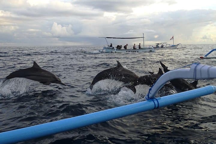 Lovina Dolphin Watching & Wanagiri Hidden Hills — Private Full-Day Tour photo 2