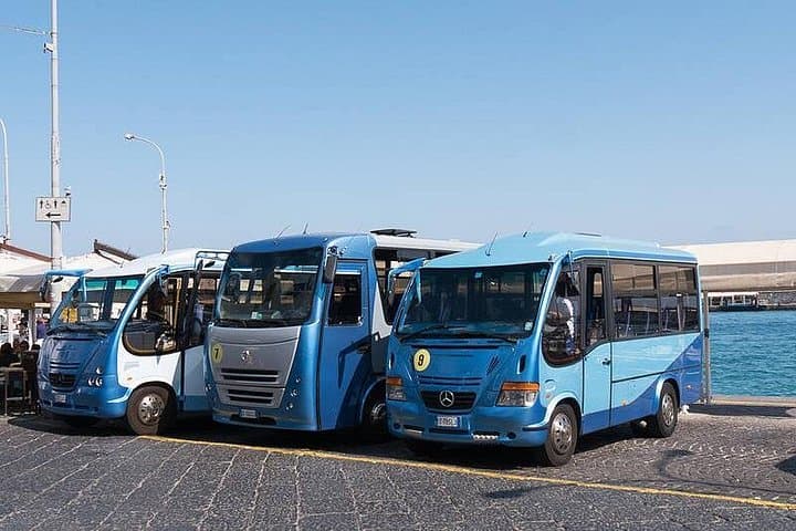 Semi-Guided Capri Island Tour: Marina Grande to Anacapri & Blue Grotto Options photo 4