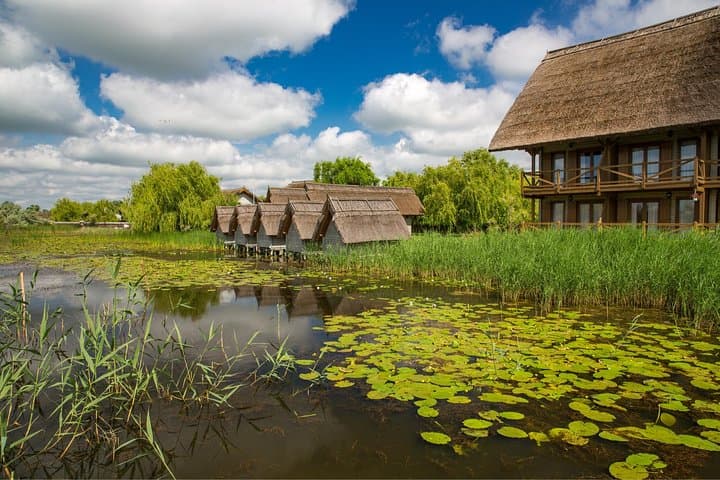 2-Day Private Danube Delta Tour from Bucharest — Wildlife & Boat Excursion photo 4