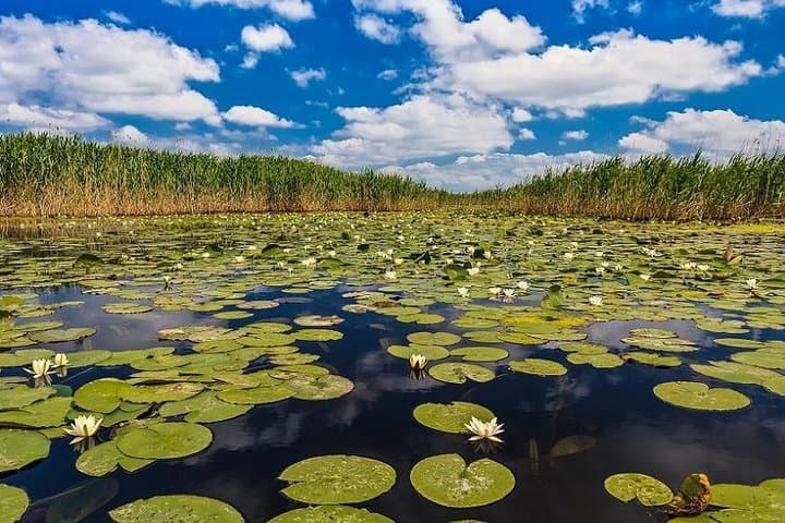 2-Day Private Danube Delta Tour from Bucharest — Wildlife & Boat Excursion photo 6