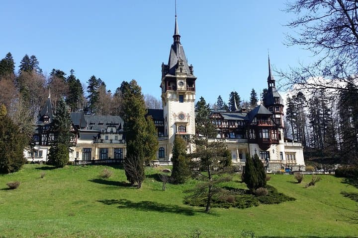 Bear Watching in Transylvania: 2-Day Carpathian Wildlife Tour from Bucharest photo 3