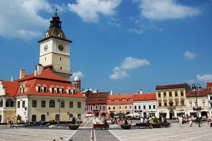 Bear Watching in Transylvania: 2-Day Carpathian Wildlife Tour from Bucharest photo 6