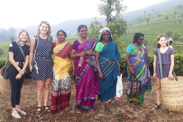 Munnar Tea Trail & Lockhart Factory Tour — Walk from Leaf to Cup photo 4