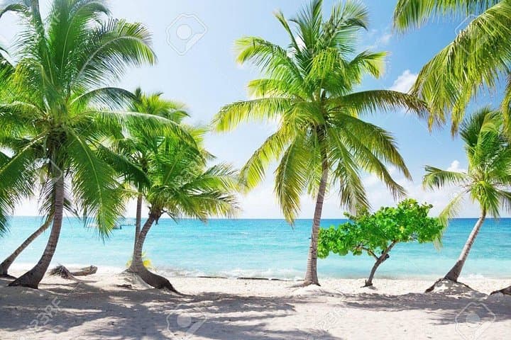 Catamaran Snorkel to Catalina Island from Punta Cana — All-Inclusive Day Trip photo 4