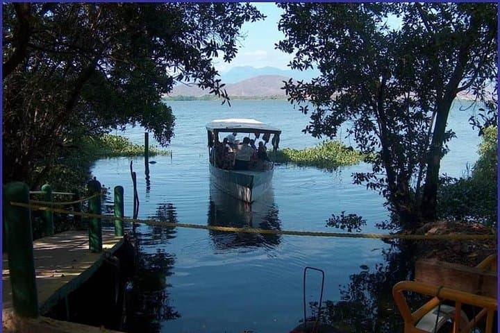 Coyuca Lagoon Boat Tour from Acapulco: Mangroves, Wildlife & Coastal Views photo 4