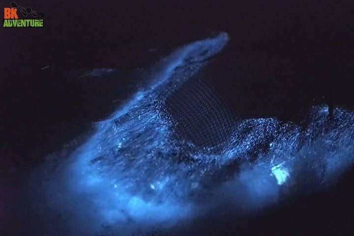 Merritt Island Bioluminescence Night Kayak Tour — Mosquito Lagoon Glow Experience photo 3