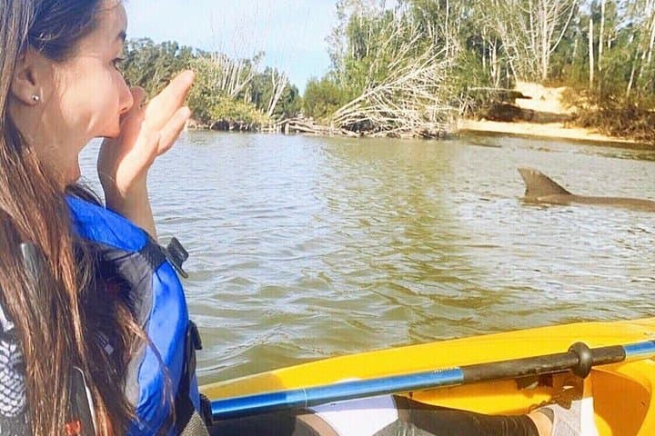 Paddle with Manatees and Dolphins on the Indian River: Cocoa Beach Kayak Tour