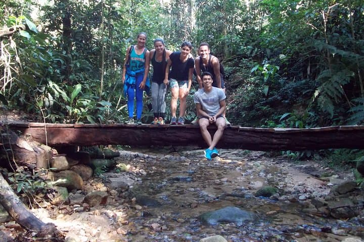 Tijuca Forest Hiking Tour: Waterfalls, History & City Views photo 5
