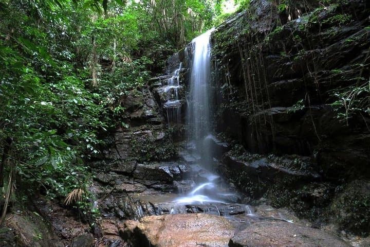 Tijuca Forest Hiking Tour: Waterfalls, History & City Views photo 3