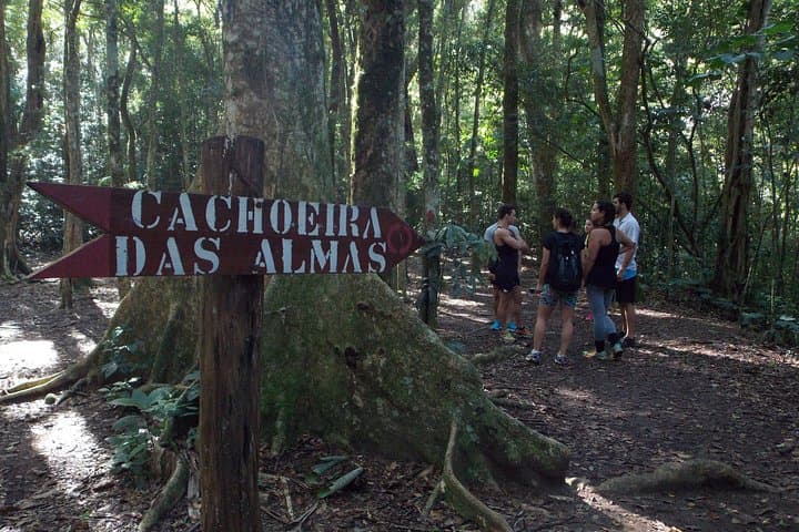 Tijuca Forest Hiking Tour: Waterfalls, History & City Views photo 6