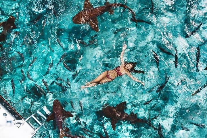 Belize Hol Chan & Shark Ray Alley Snorkel — Ambergris Caye 3‑Hour Reef Tour photo 4
