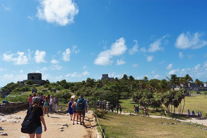 Tulum & Cenote Combo from Cancun — Swim, Ruins & Quinta Avenida Stroll photo 4