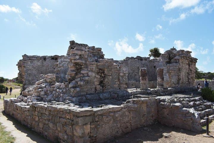 Tulum & Cenote Combo from Cancun — Swim, Ruins & Quinta Avenida Stroll photo 5