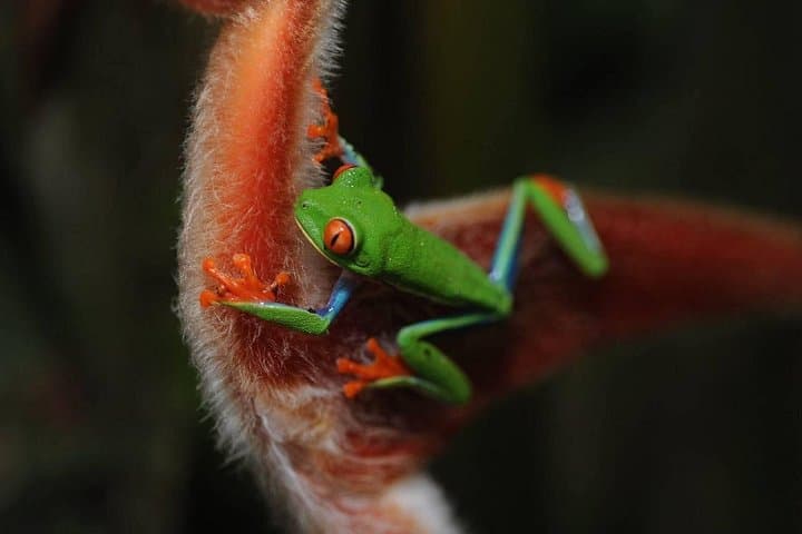 Arenal Full-Day Combo: Zipline, Waterfalls, Hot Springs & Maleku Culture photo 3