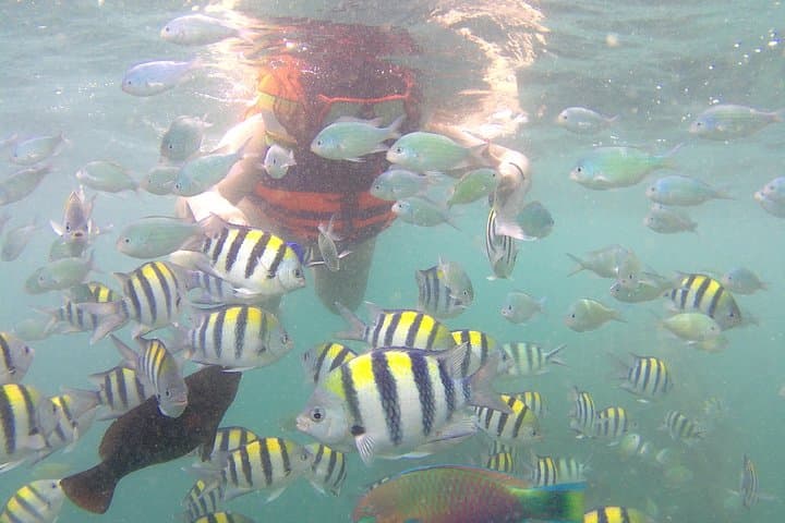 Southwest Lombok Gili Nanggu, Sudak & Kedis: Half-Day Snorkel and Private Boat Tour