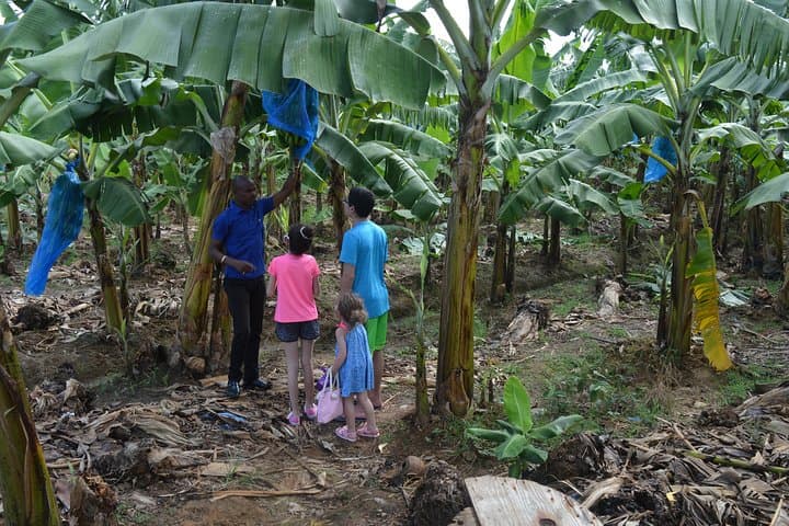 Soufrière Natural Attractions: Mud Baths, Waterfalls & Piton Views photo 5
