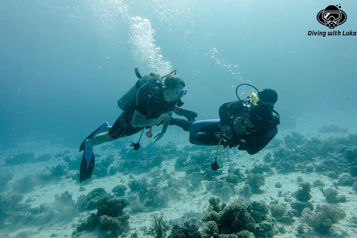 Full-Day Red Sea Diving with Private Guide, Lunch & Transport (Hurghada) photo 2