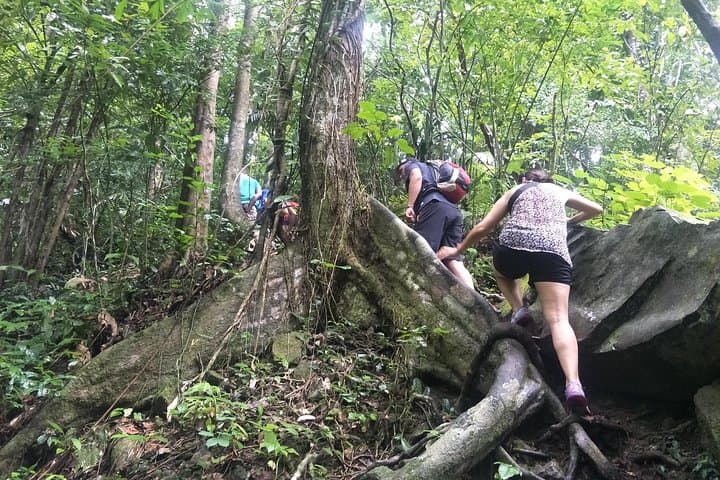 Phuket Jungle Hike: Small-Group Trek to Tonsai & Bang Pae Waterfalls