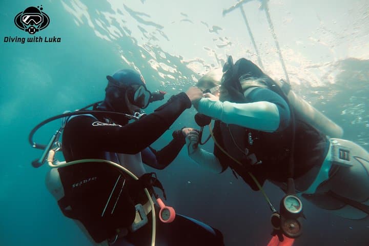 Full-Day Red Sea Diving with Private Guide, Lunch & Transport (Hurghada)