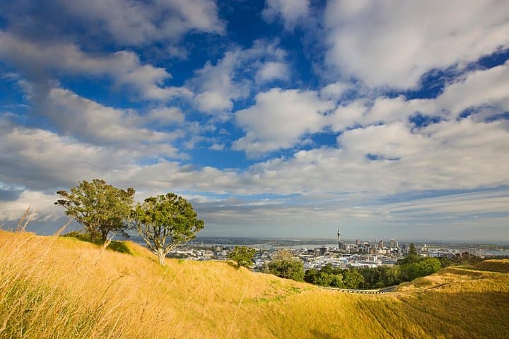 Private Auckland Volcanoes Luxury Tour — Walk the Maunga and City Vistas
