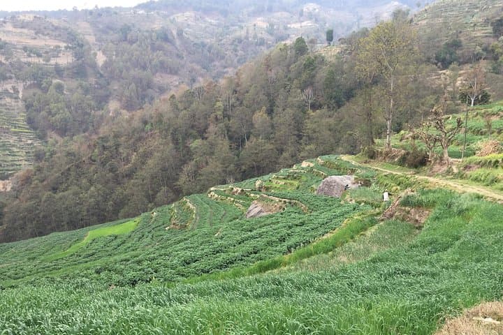 Kathmandu to Nagarkot: 8-Day Hiking, Heritage & Community Volunteering in Nepal photo 4