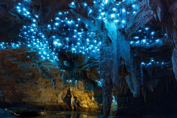 Rotorua to Auckland: Hobbiton Movie Set and Waitomo Glowworm Caves One‑Way Private Tour photo 5