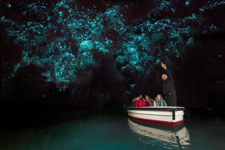 Rotorua to Auckland: Hobbiton Movie Set and Waitomo Glowworm Caves One‑Way Private Tour photo 6