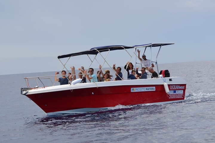 Alghero Dolphin Watching: Research-Led Boat Tour in Capo Caccia Marine Park photo 2