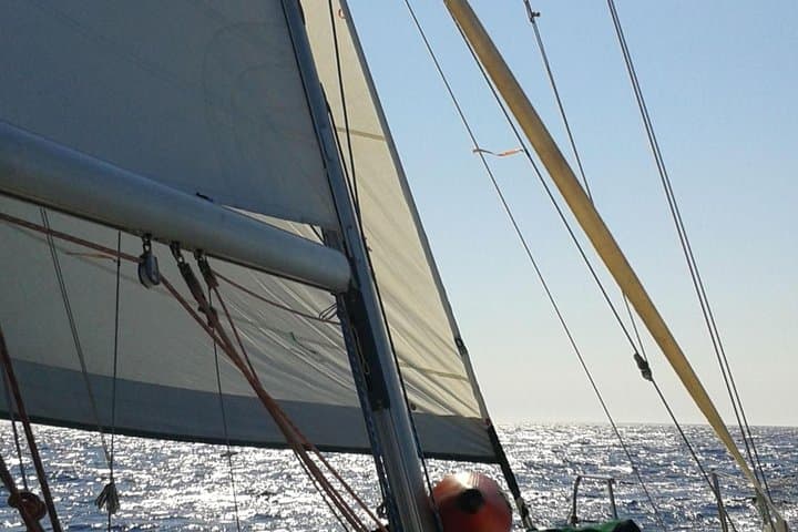 Half-Day Sailing from Neos Marmaras: Hidden Coves & West Sithonia Islands photo 6